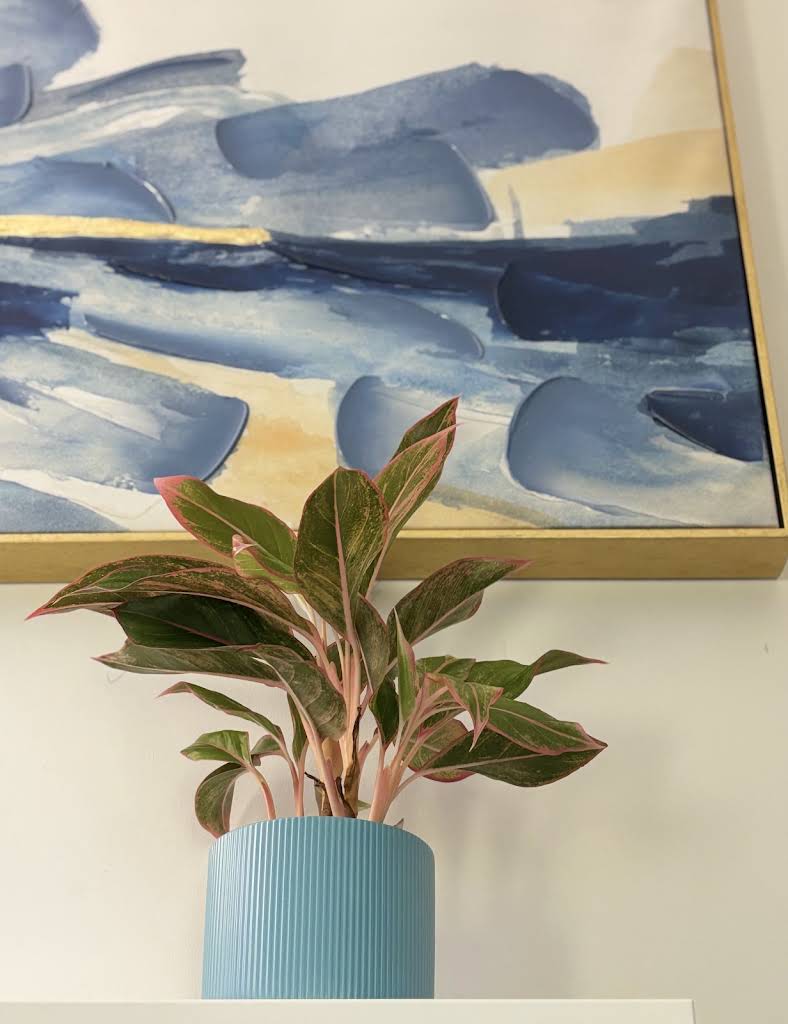 Leafy plant in a blue pot beneath calming blue and gold artwork in the office